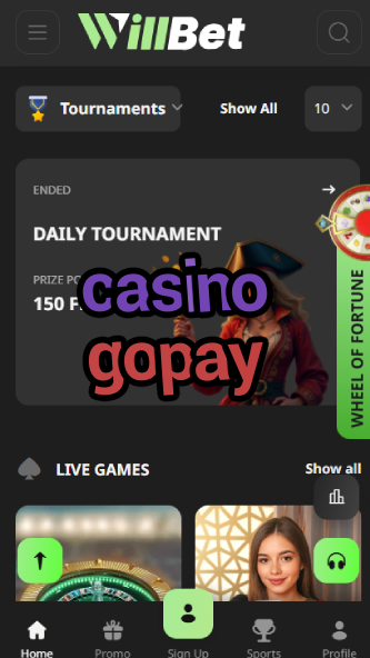 Casino Gopay - Play with Gopay Payments-casinocasi.ydblkf.net