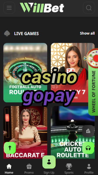 Casino Gopay - Play with Gopay Payments-casinocasi.ydblkf.net