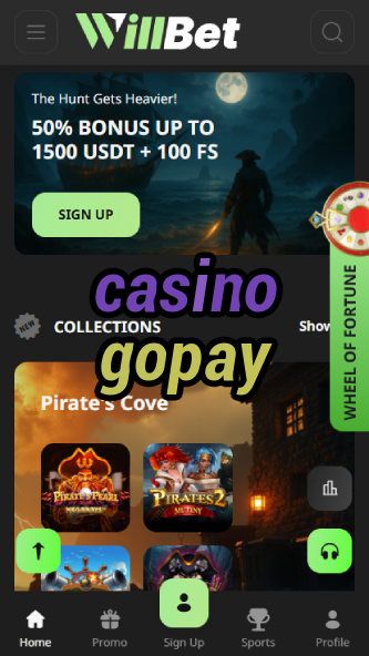 Casino Gopay - Play with Gopay Payments-casinocasi.ydblkf.net